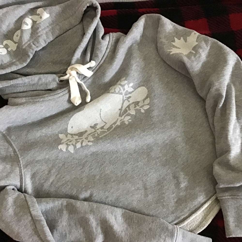 Roots brand crop hoodie